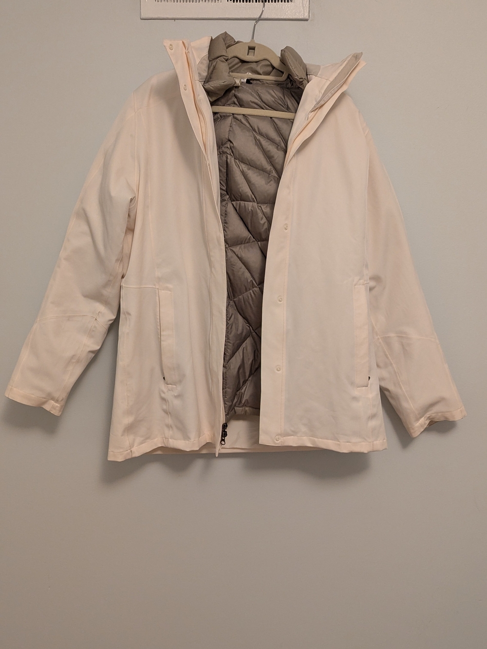 Patagonia Parka with Goosedown Liner